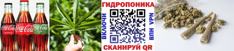 Cannafood марихуана  кракен маркетплейс  Славгород 