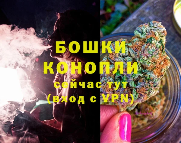гидропоника Вязьма
