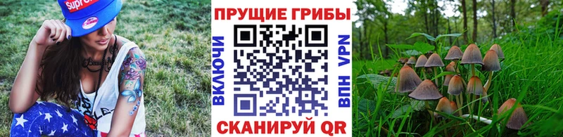 Псилоцибиновые грибы ЛСД  Славгород 